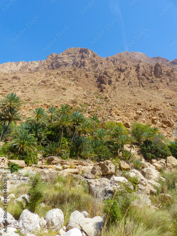Landscape at Wadi Tiwi and Wadi Shab Sultanate of Oman