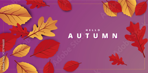 Abstract colorful leaves decorated white background for Hello Autumn advertising header or banner design.
