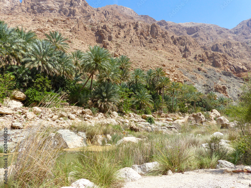 Wadi Tiwi oder Wadi Shab Stock Photo Adobe Stock