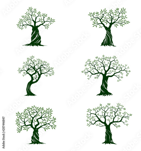 Set of Olive Trees on white background. Vector Illustration and concept pictogram.