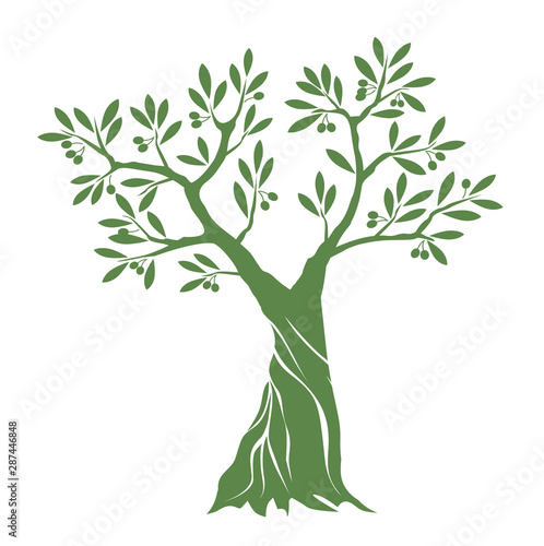 Olive tree on white background. Vector Illustration and concept pictogram.