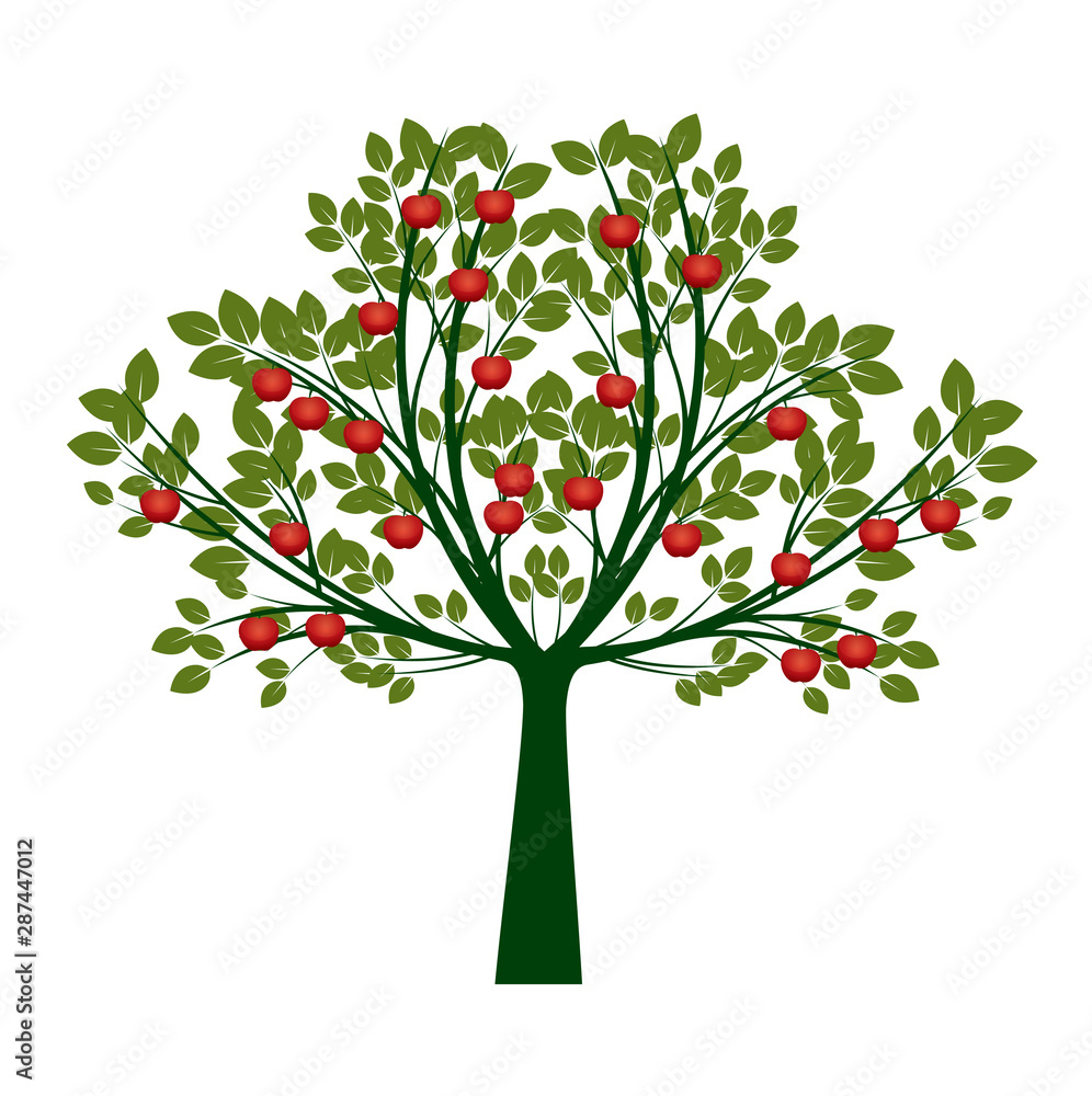 Naklejka Beautiful Vector Apple Tree on white background. Vector Illustration and concept pictogram.