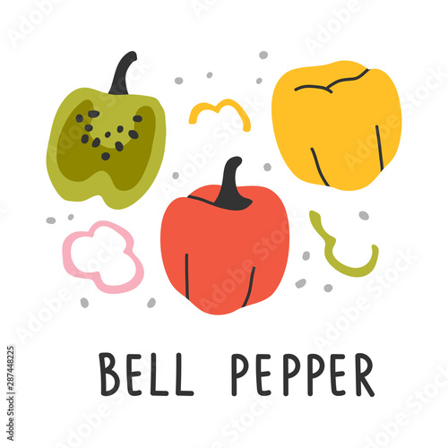 hand drawn vector illustration of various kinds of pepper vegetable. Simple colorful handdrawn drawing of sweet bell paprika pepper sort. Cooking ingredient isolated element in sketch style.