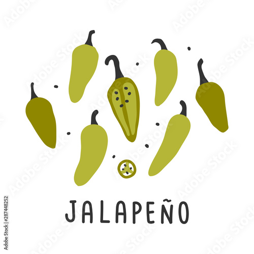 hand drawn vector illustration of various kinds of pepper vegetable. Simple handdrawn drawing of jalapeno  pepper sort. Cooking ingredient isolated element in sketch style.