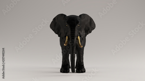 Photography Black Elephant with Golden Tusks Front View 3d illustration 3d render