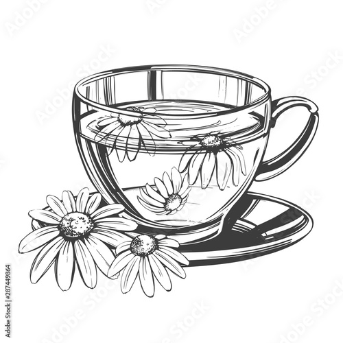 Cup of tea with chamomile isolated on white background hand drawn vector illustration realistic sketch