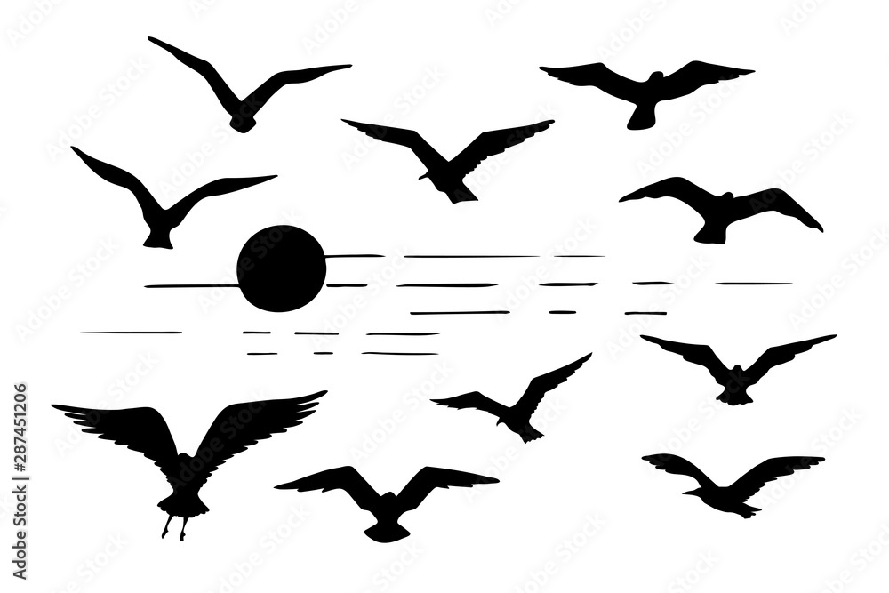 Set of seagulls silhouettes black flying birds