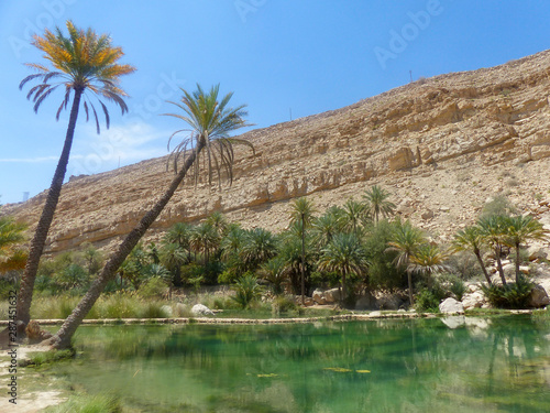 Landscape Wadi (Oase, Oasis) Bani Khalid Al Hajar Mountains (جِبَال ٱلْحَجَر‎, Jibāl al-Ḥajar, The Rocky Mountains, The Stone Mountains) Sultanate of Oman