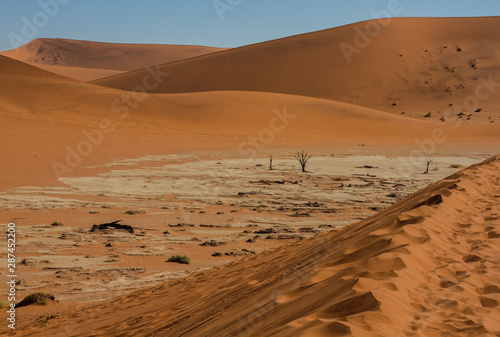 Blick von einer Sanddüne auf das Dead vlei im Sossusvlei in der Wüste Namib in Namibia mit Dünen aus rotem Sand im Hintergrund