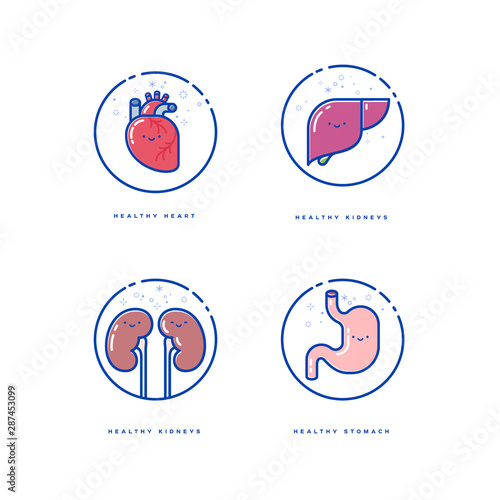 Health organs. Happy human organs. Heart. Liver. Kidneys and Stomach. Kavaii style.