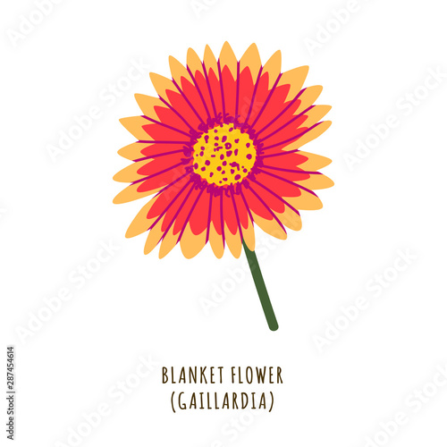 Blanket flower