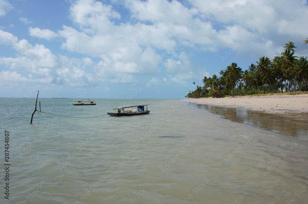 Pedras Port / Alagoas / Brazil. November, 28, 2008. Views of Patacho Beach in northeastern Brazil. Pedras Port / Alagoas / Brazil. November, 28, 2008. Views of Patacho Beach in northeastern Brazil.