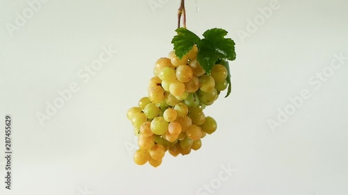 Green grape branch rotates in water jets on a light background.