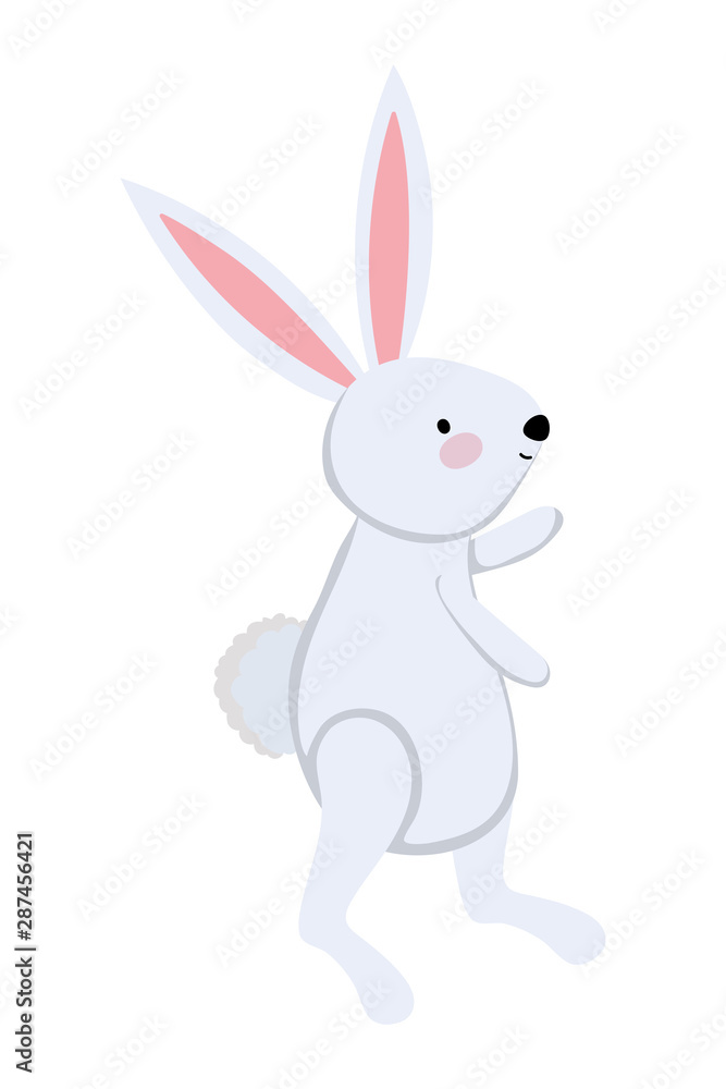 Isolated rabbit cartoon vector design Isolated rabbit cartoon vector design