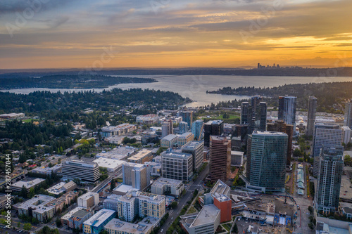 Drone shot of the city of Bellevue from above © adonis_abril