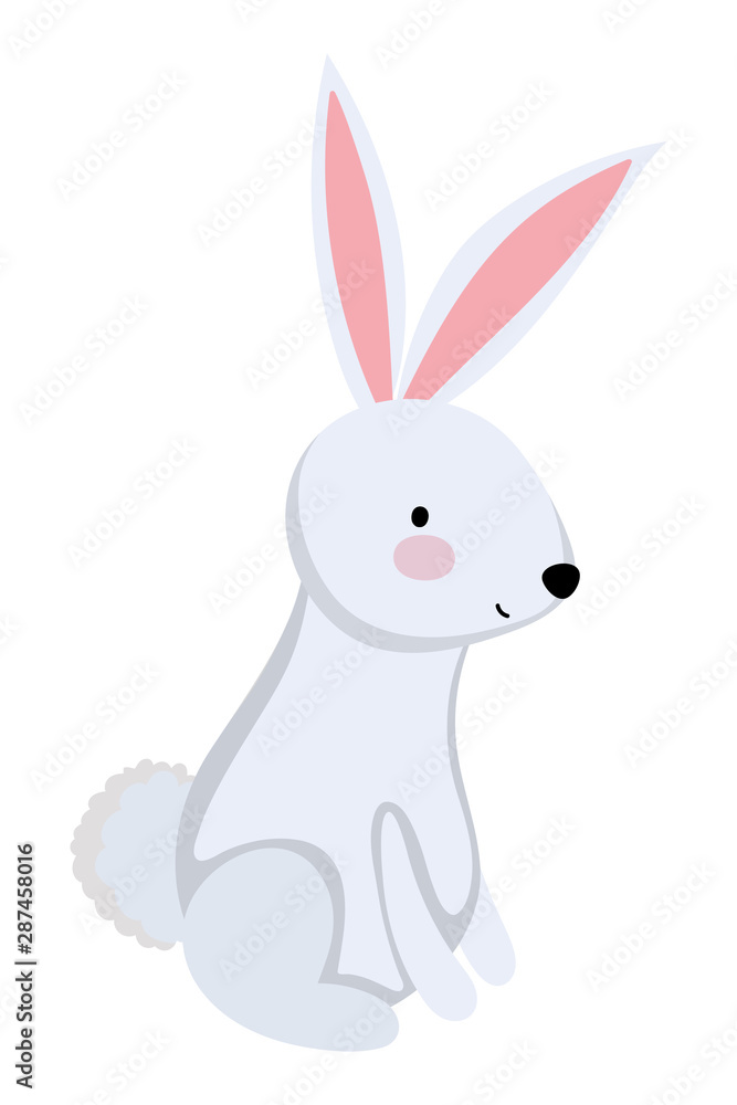 Isolated rabbit cartoon vector design Isolated rabbit cartoon vector design