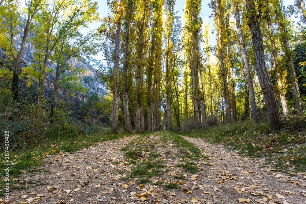 Fototapeta premium The beautiful promenade of the Senda de la Vega in Segovia, Spain