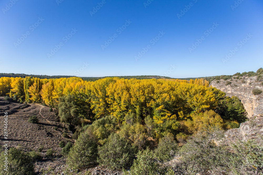 Aerial view of the park with fall colors on the Senda de la Vega in Segovia, Spain Aerial view of the park with fall colors on the Senda de la Vega in Segovia, Spain