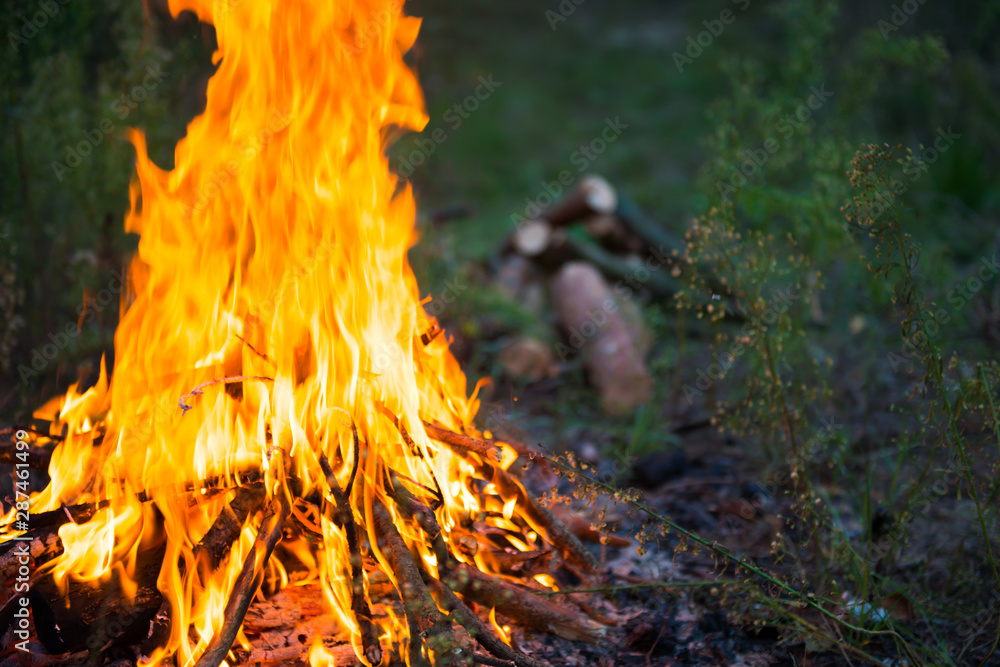Bonfire in the forest with big fire flame Bonfire in the forest with big fire flame