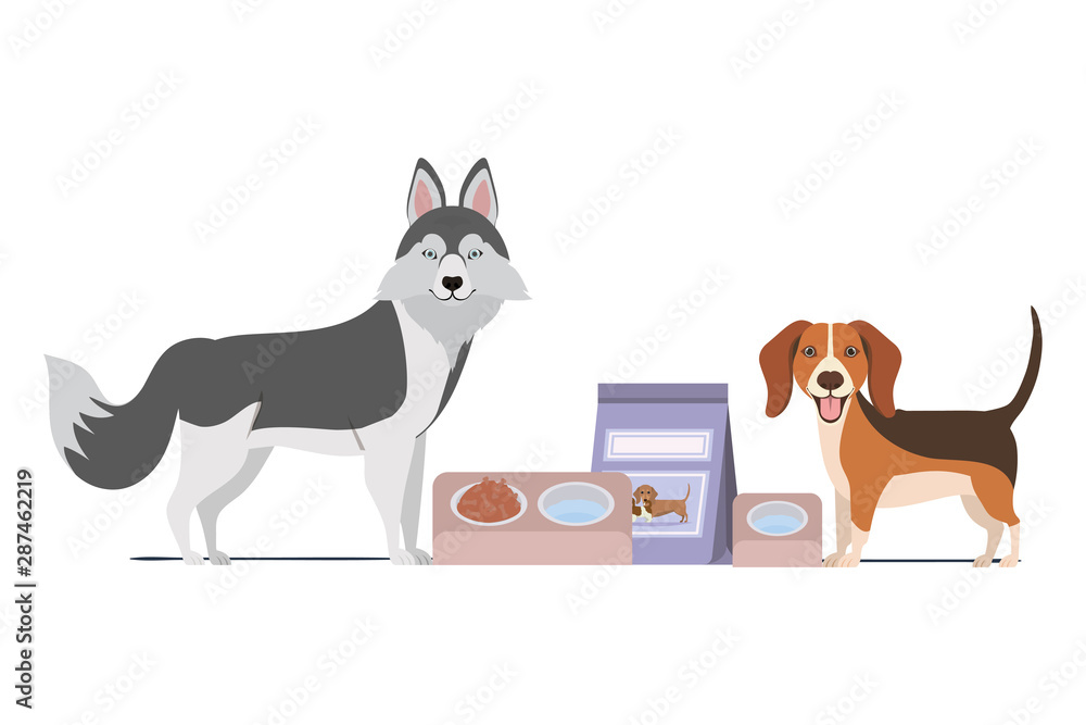 dogs with bowl and pet food on white background