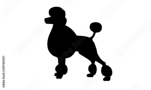 Pudel Silhouette