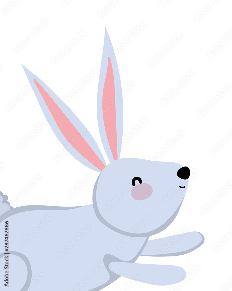 Isolated rabbit cartoon vector design Isolated rabbit cartoon vector design