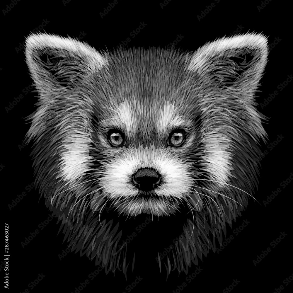 Gnide lugtfri længes efter Vetor de Red panda. Graphic, monochrome, hand-drawn portrait of a Red panda  on a black background. do Stock | Adobe Stock