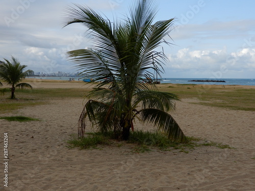 beira mar de piedade