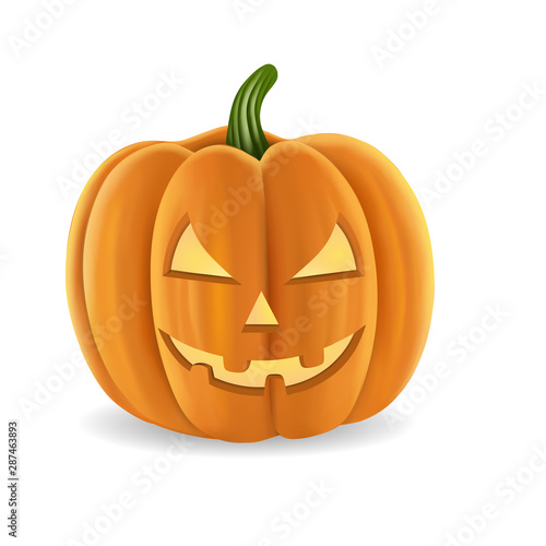 isolated halloween pumpkin vector