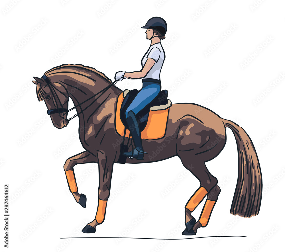 Vector illustration of a rider and horse execute the piaffe. Vector illustration of a rider and horse execute the piaffe.