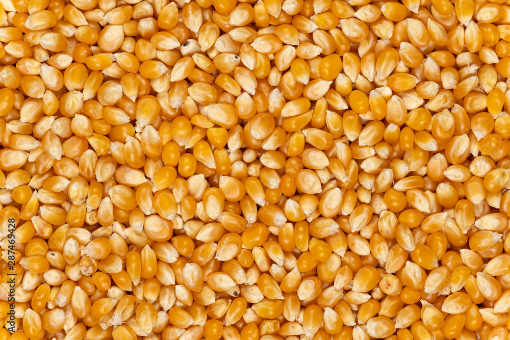 Close-up image of popping popcorn background Close-up image of popping popcorn background