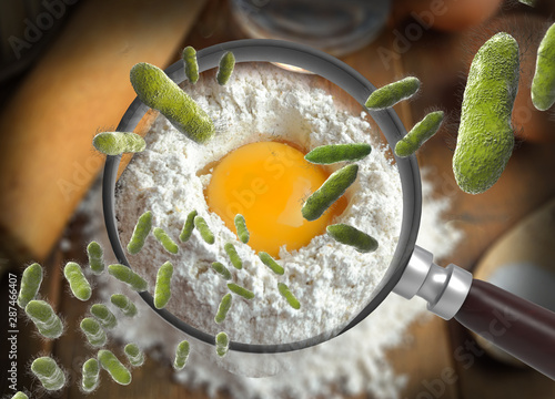 The concept of bacteria in the egg, and is magnified by a magnifying glass, salmonellosis infection photo