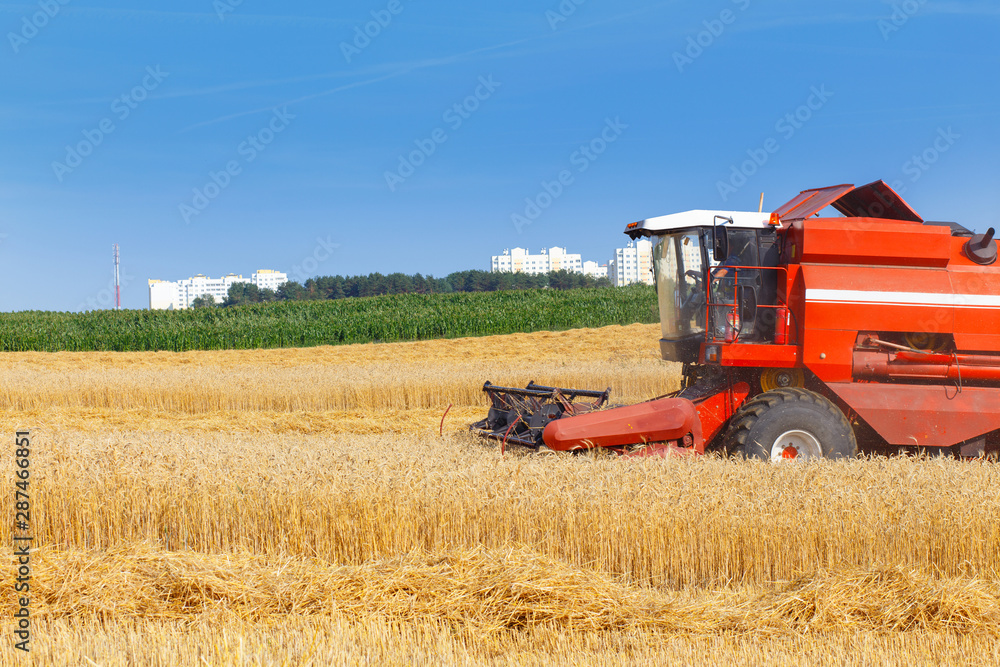Obraz premium combine harvester