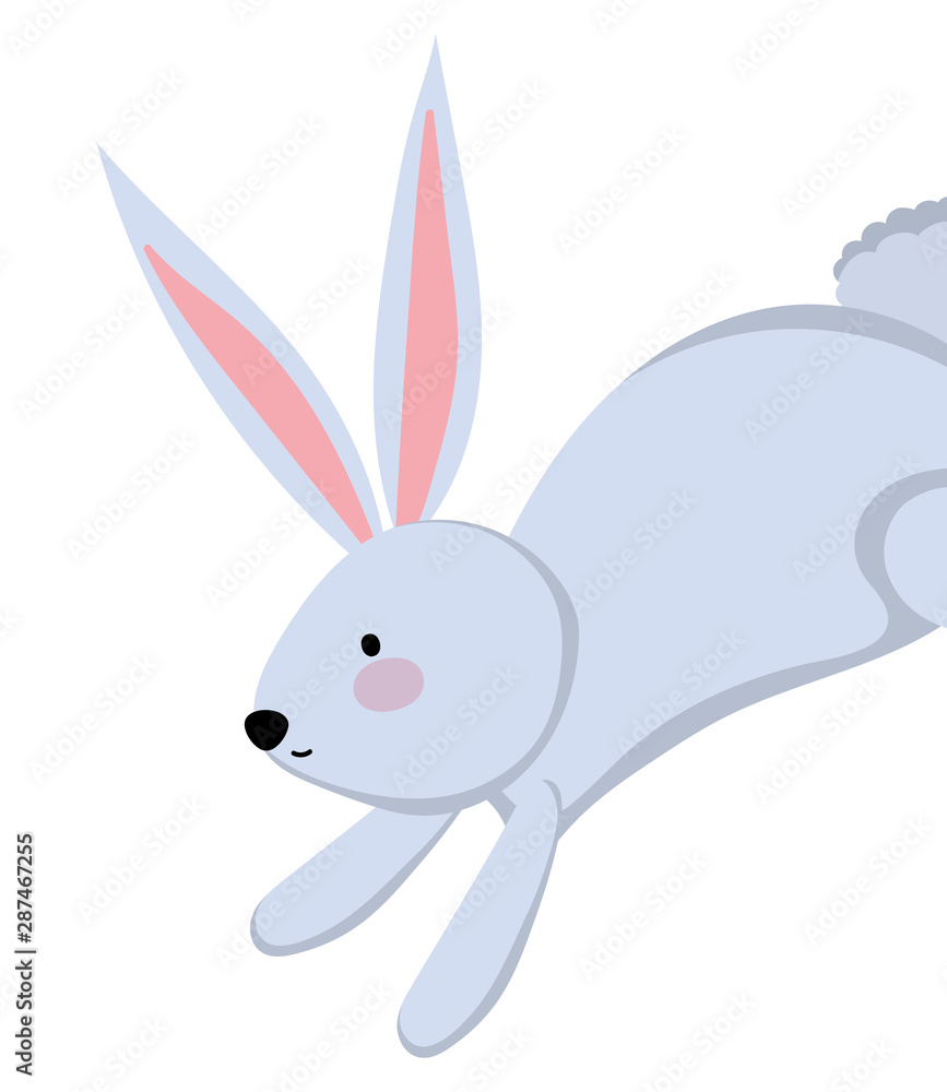 Isolated rabbit cartoon vector design Isolated rabbit cartoon vector design