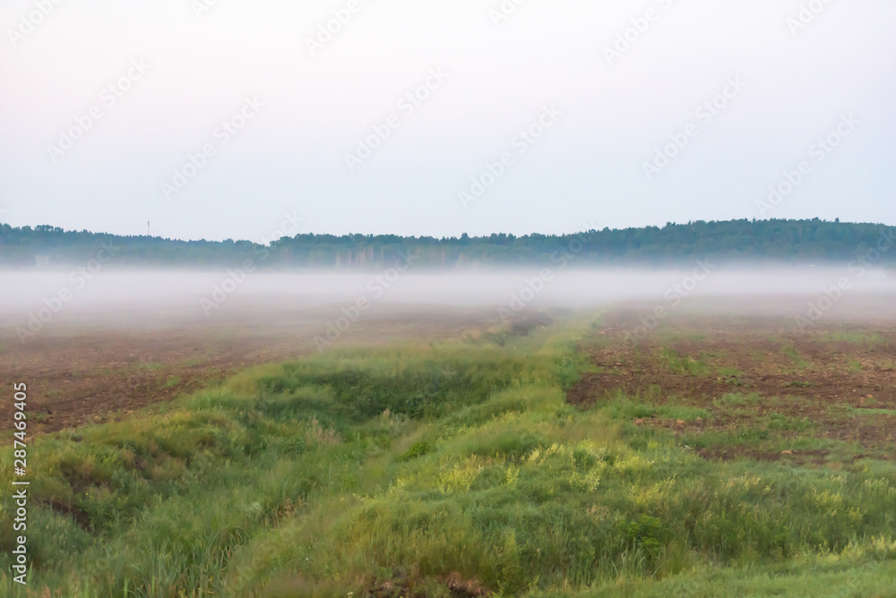 Morning before sunrise. Early morning and foggy fields in Belarus.