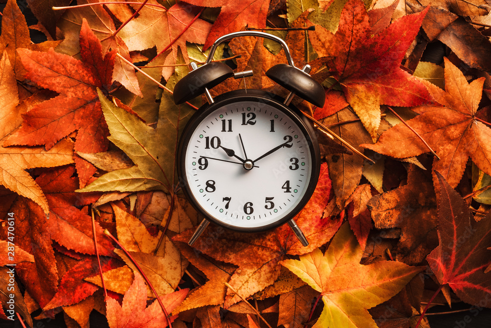 Autumn season time - obrazy, fototapety, plakaty 