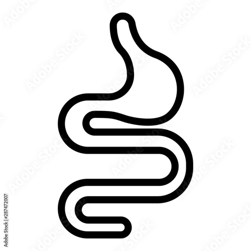 Animal stomach icon. Outline animal stomach vector icon for web design isolated on white background