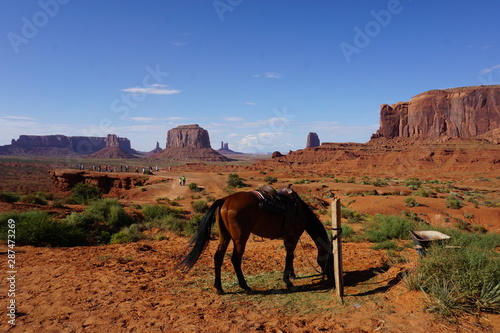 Horse Monument Valley 