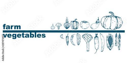 Natural vegetables. Template for social networks. Eco products from the farm. Vector. Vintage style. 