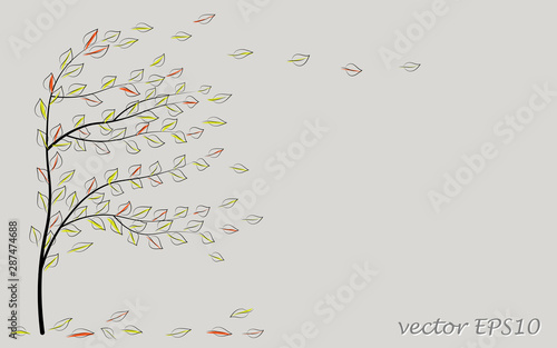 Fotografija Strong autumn wind rips off golden leaves from a tree, romantic autumn card