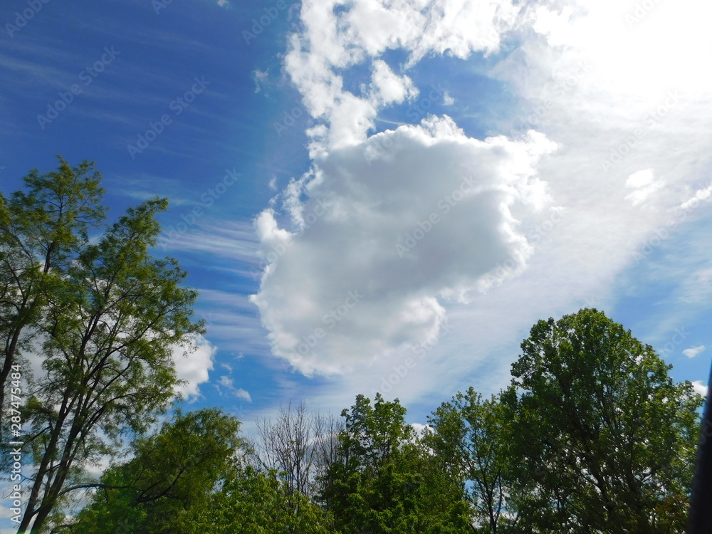 Obraz premium Beautiful Day 