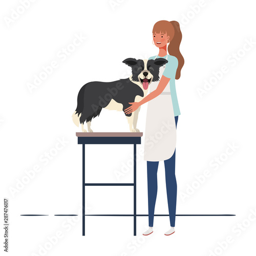 young woman combing a dog in pet groomer