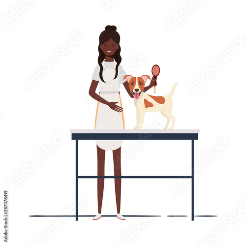 young woman combing a dog in pet groomer