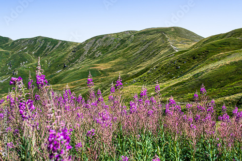 Wallpaper Mural Corno alle Scale Torontodigital.ca