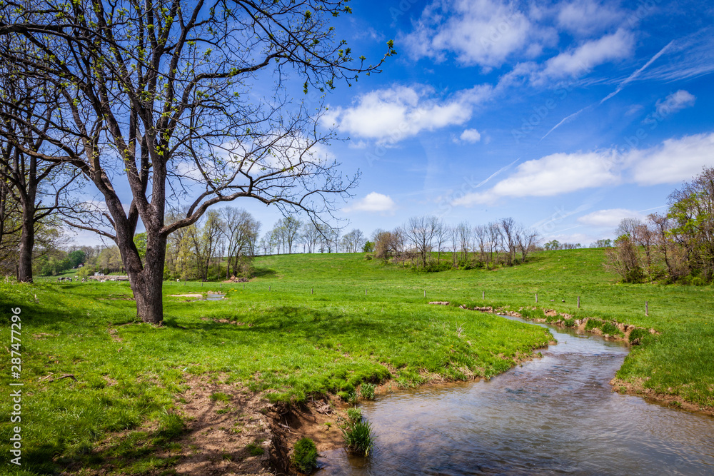 creek in a spring meadow cow pasture with a blue sky and white puffy clouds creek in a spring meadow cow pasture with a blue sky and white puffy clouds