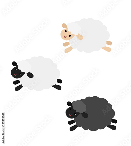 Three sheep on white background