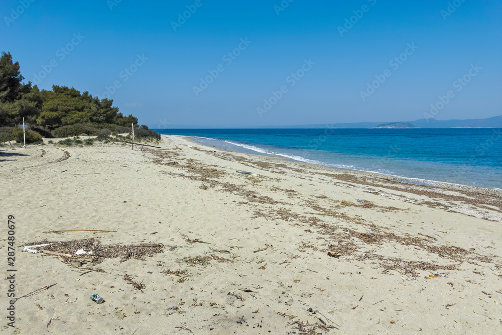 Xenia Golden Beach at Kassandra Peninsula, Chalkidiki,