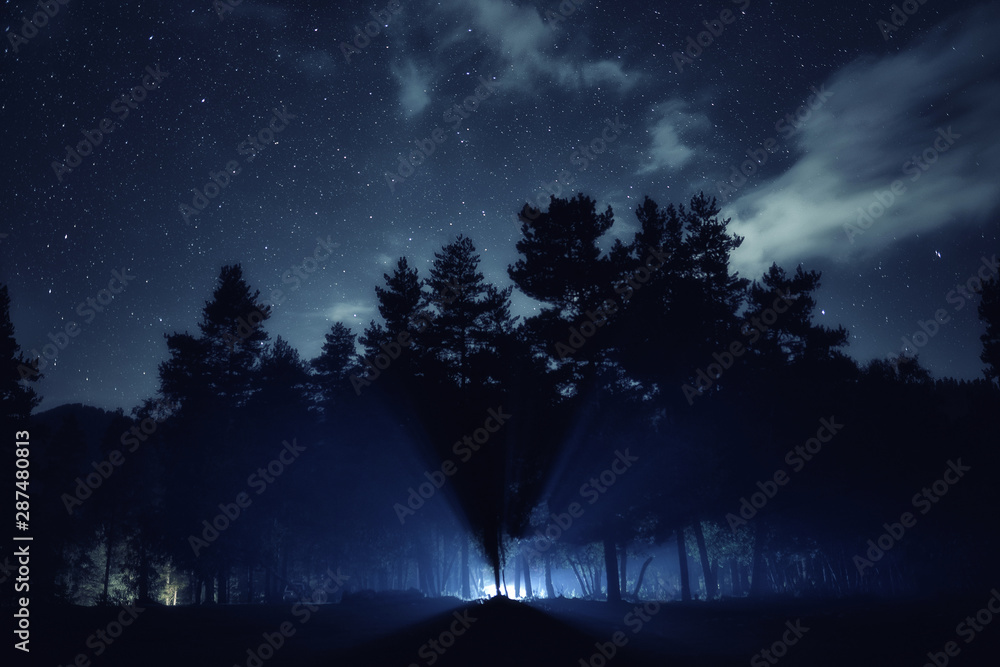 Silhouette of forest. Stars at night sky landscape