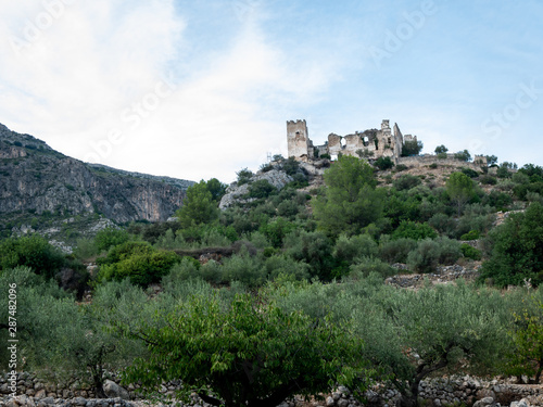 castillo edad media de piedra abandonado en un cerro cubierto de vegetación photo