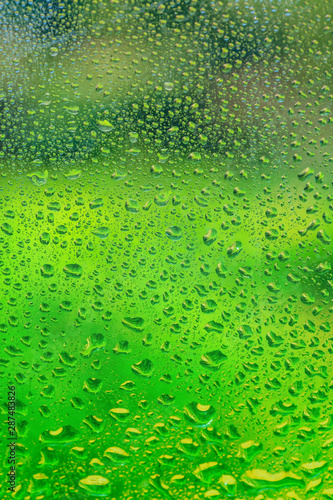 Blurry green background and flat paved water drops close-up